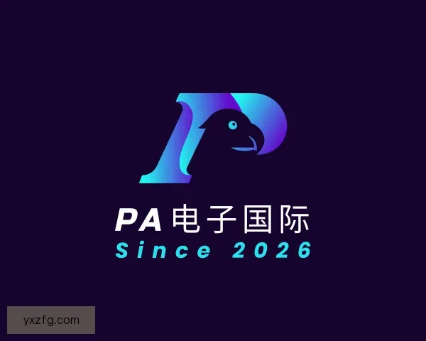 介绍PA电子