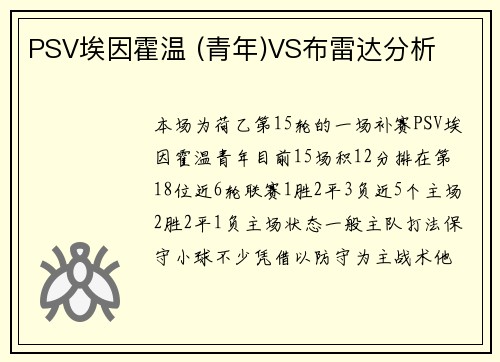 PSV埃因霍温 (青年)VS布雷达分析